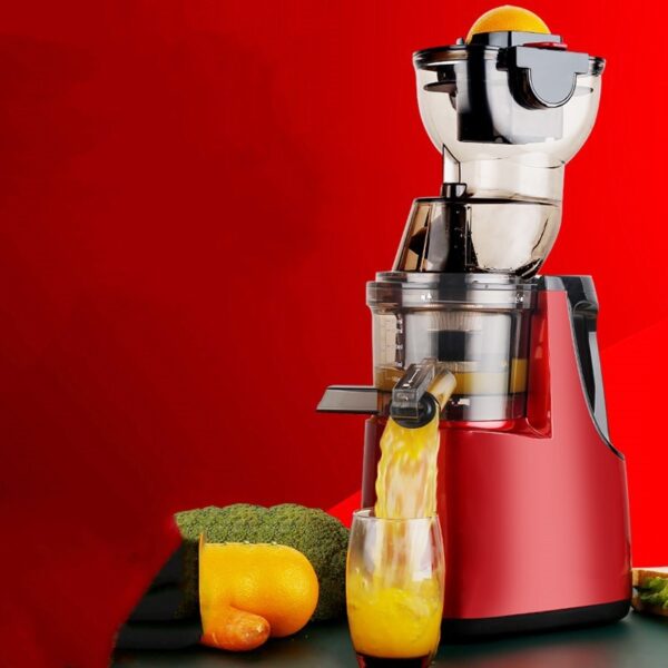 Heavy-Duty Juicer for Everything